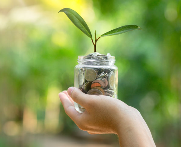 adamson splawn disaster recovery consultants